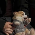 Avatar de Manuel Ortiz